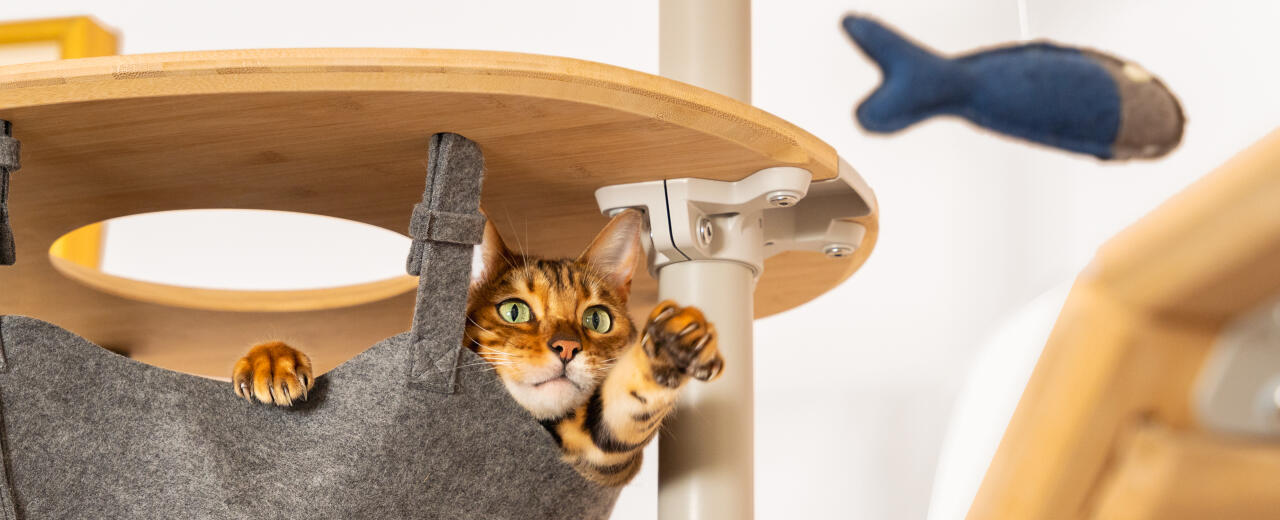 Kat, der leger i et kattetårn, der kan tilpasses, af Omlet