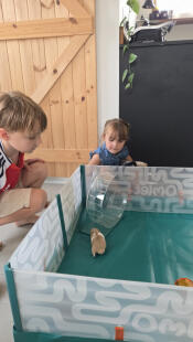 Børn, der leger med deres hamster i Omlet hamsterplaypen.