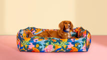 Hunden hviler i en farverig patterend bolster-hundeseng fra Omlet