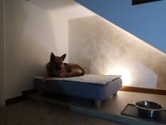 En hund, der slapper af på sin grå seng med quiltet topmadras