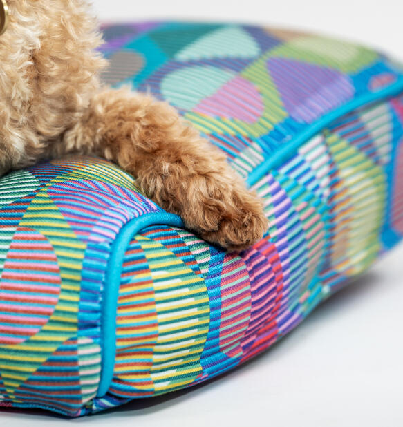 Nærbillede af en pote på en farvestrålende, mønstret pude i en hundeseng