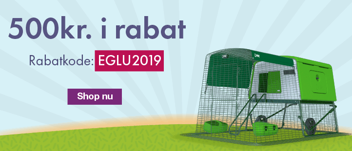 January Eglu Offer